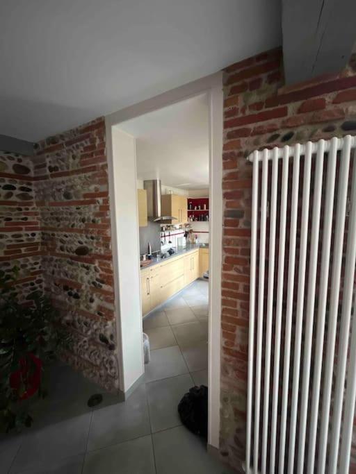 Magnifique Maison Toulousaine Tolosa Esterno foto