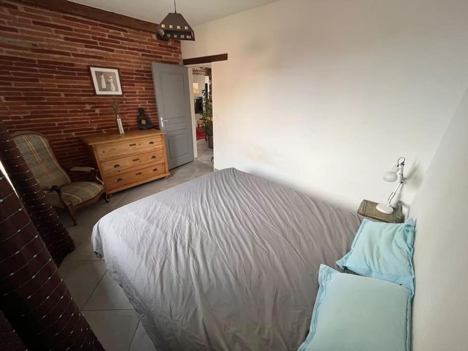 Magnifique Maison Toulousaine Tolosa Esterno foto